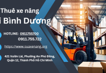 Hướng dẫn thuê xe nâng tại Bình Dương nhanh chóng, tiện lợi.