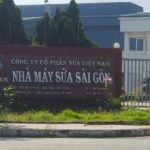 Nhà Máy Sữa Sài Gòn – Nhân Viên Asa Bảo trì+ sửa chữa xe nâng